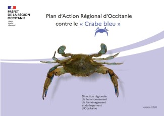 L’Occitanie se dote d’un plan d’action contre le crabe bleu