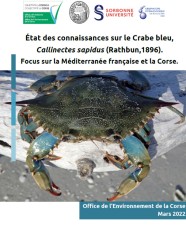 État des connaissances sur le Crabe bleu