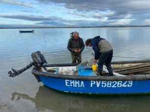 Suivi de la pêche du Crabe bleu à l’étang de Canet : état d’avancement du projet partenarial gestionnaire-pêcheurs-scientifiques