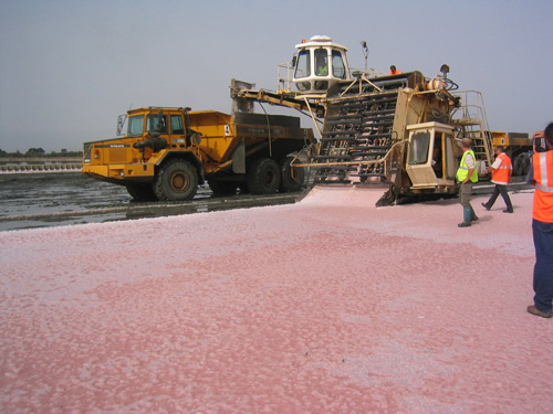 Récolte du sel, Aigues-Mortes. Photo PRLM 
