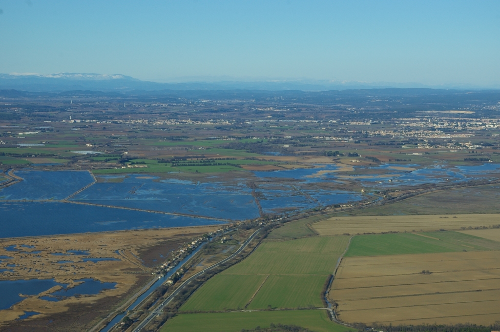 Nord Etang de l'Or 1 Pôle lagunes