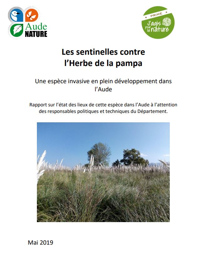 Le cas de l'Herbe de la pampa (Cortaderia selloana) dans l'Aude - Pôle  lagunes