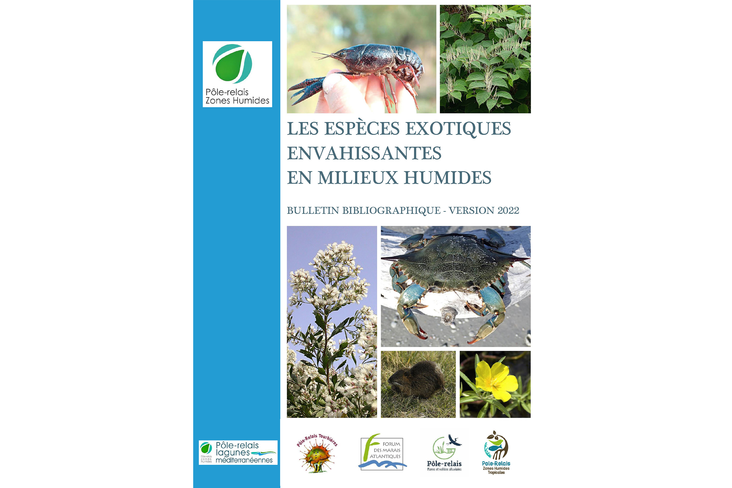 Les Esp ces Exotiques Envahissantes En Milieux Humides Les Esp ces Exotiques Envahissantes En Milieux Humides