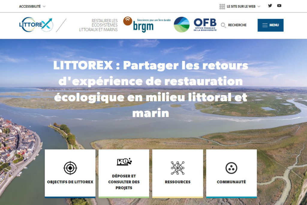 LITTOREX : Partager les retours d’expérience de restauration écologique en milieu littoral et marin